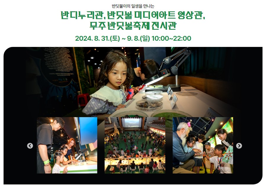 무주 반딧불축제