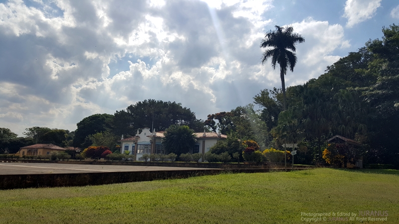 Fazenda_Tozan_24