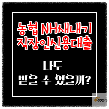 농협 NH새내기직장인신용대출 상품