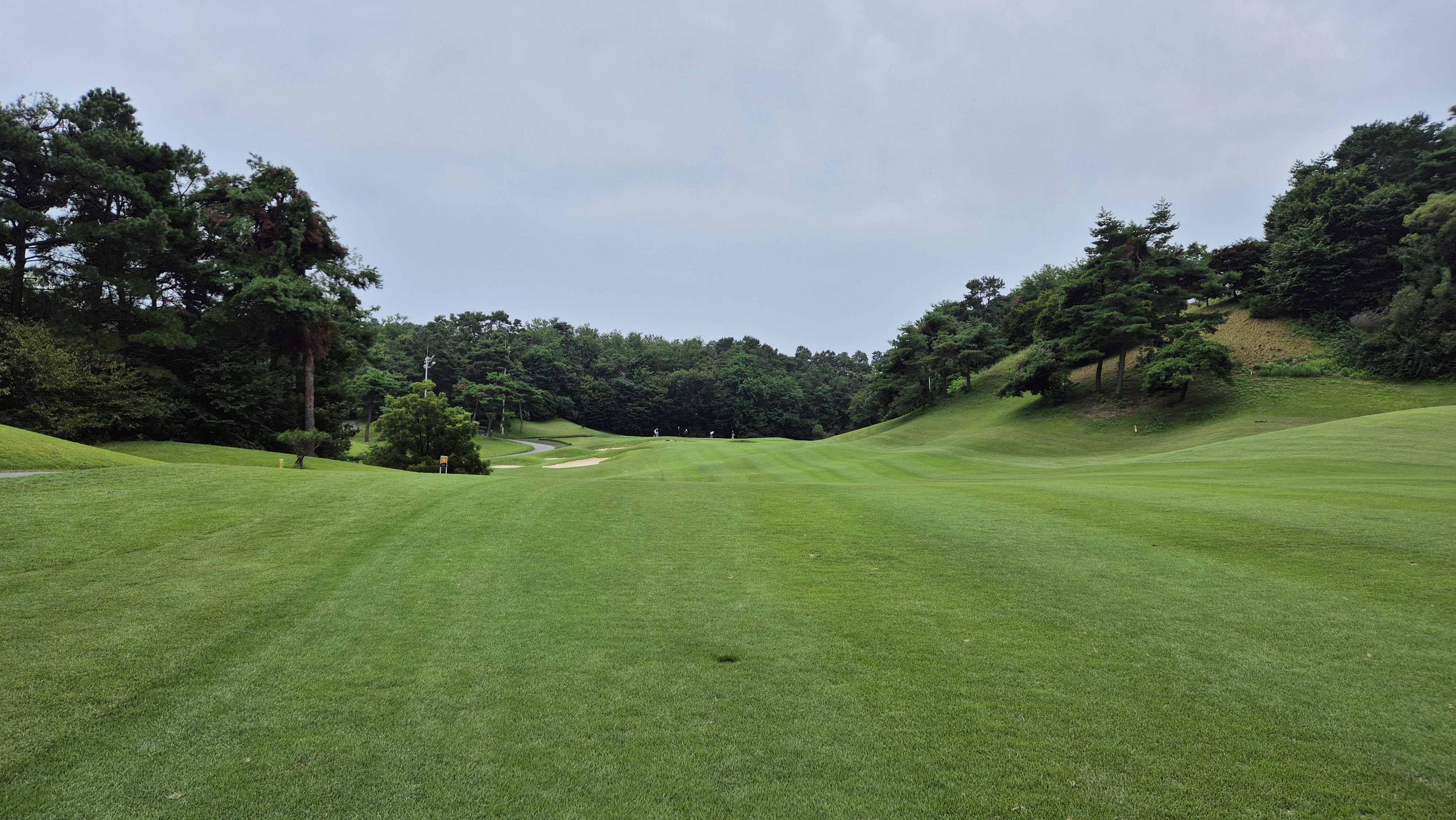 한림용인cc 다이아몬드-사파이어 코스 사진 및 공략 정보