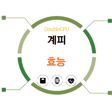 계피 효능