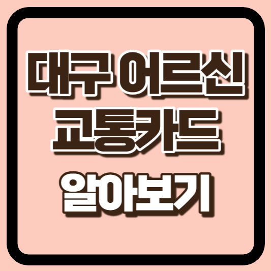 대구 어르신교통카드 썸네일