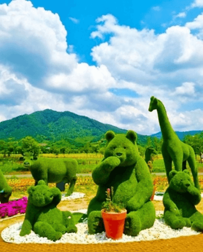 2025 포천 한탄강 가든 페스타 완벽 가이드