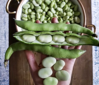 파바빈 효능 자이언트 파마빈 먹는방법 총정리