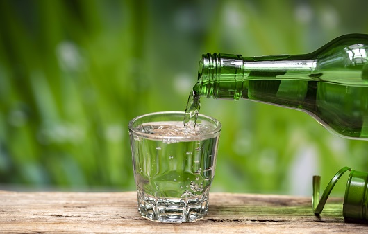 술, 알코올, 해독