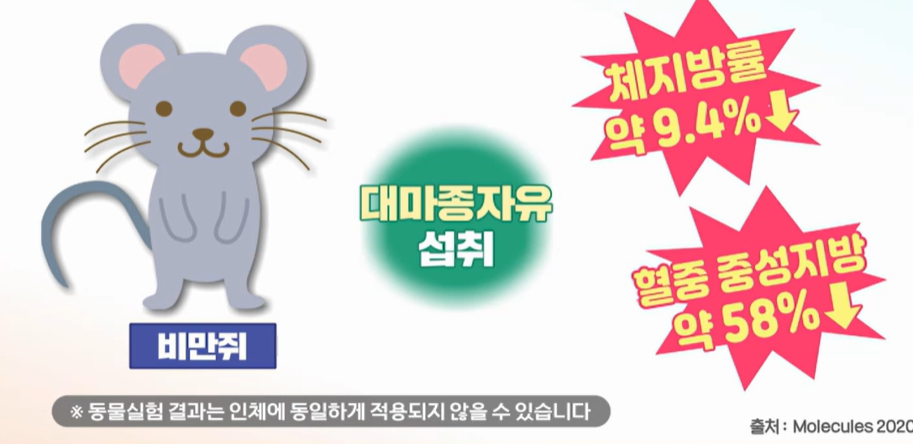 대마종자유 효능