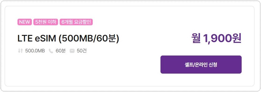 eSIM-1900원