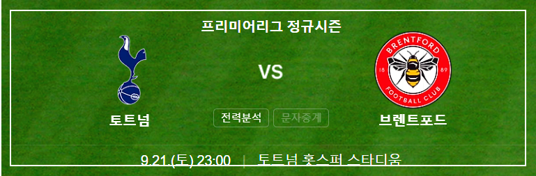 토트넘 브렌트포드