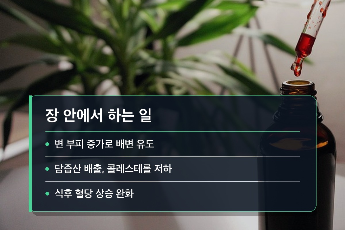식이섬유 식이섬유가 장 안에서 하는 일은 뭘까요?