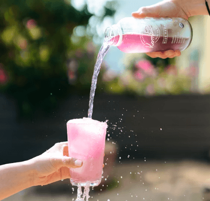 콤부차 효능 - 개요