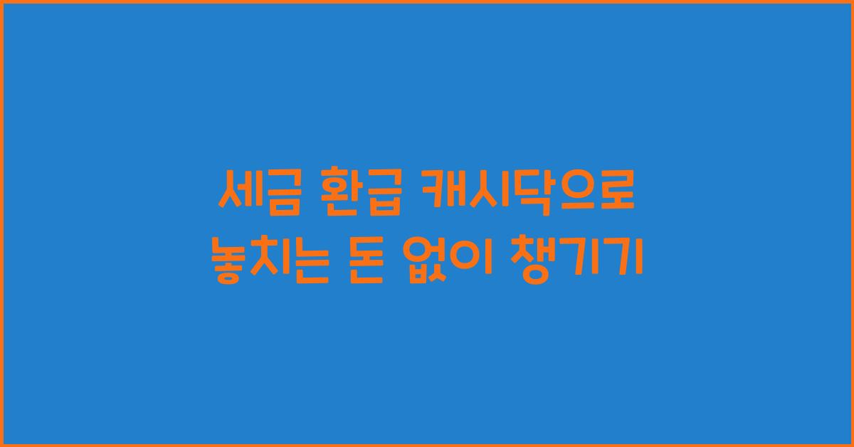 세금 환급 캐시닥