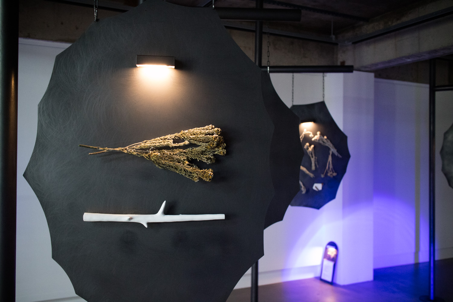 예술의 시간 전시회 산 자와 죽은 자 가운데