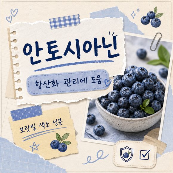 블루베리 효능