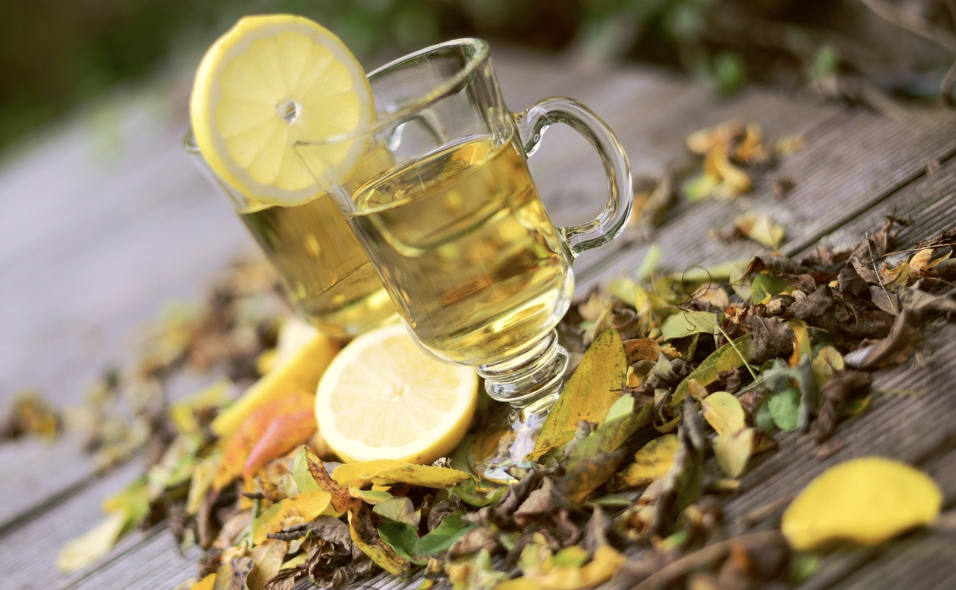 면역력 높이는 생활습관