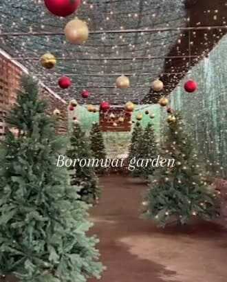 2025 제주 보롬왓 튤립축제