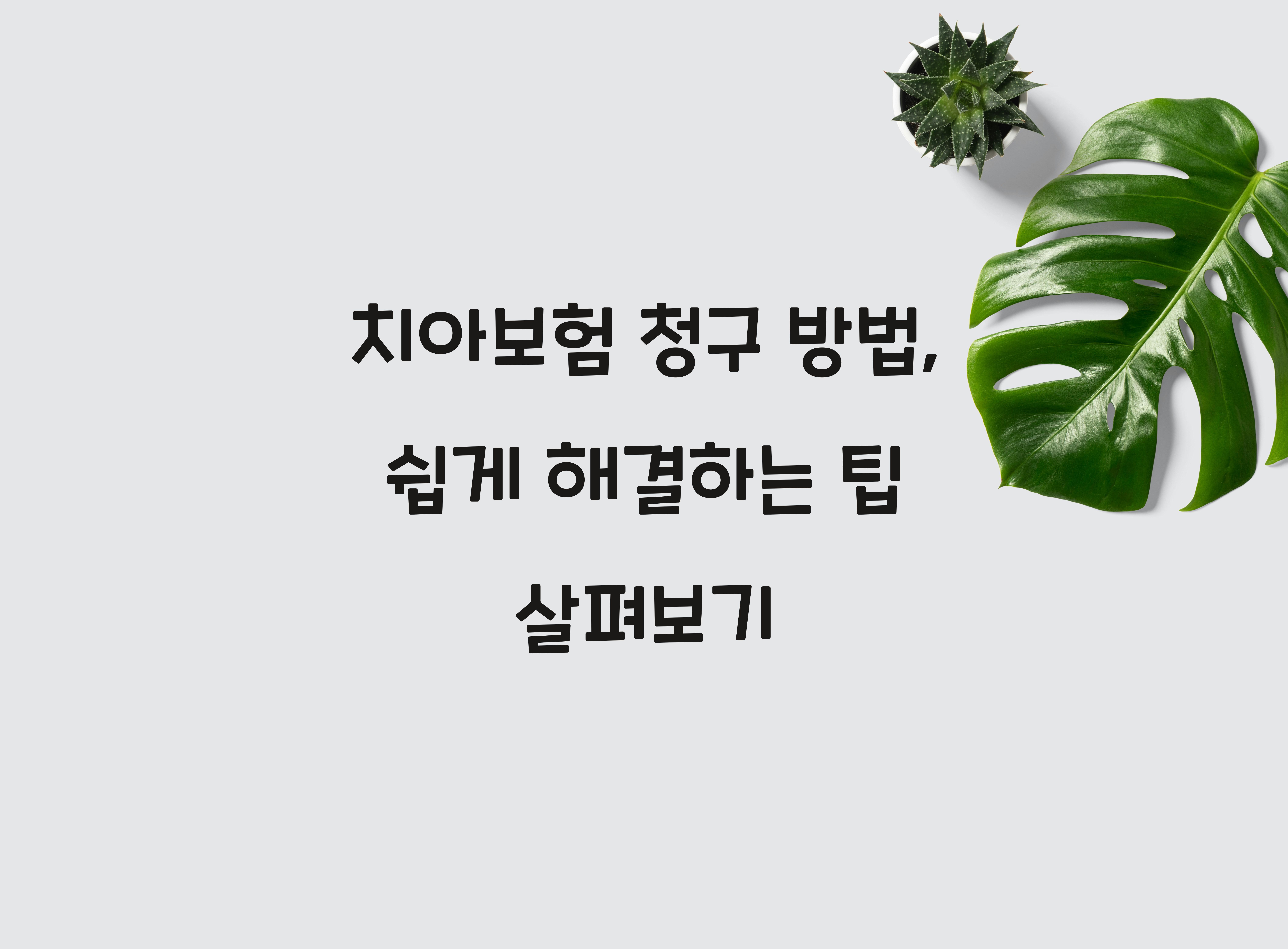 치아보험 청구 방법
