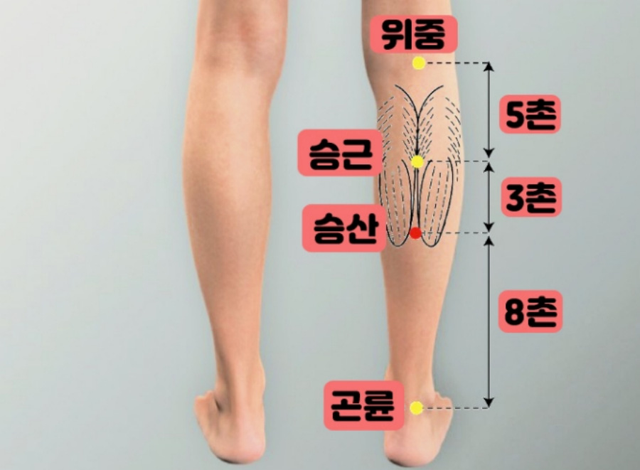 인체의 365혈 중에서 다리에 위치를 한 위중, 승근, 승산, 곤륜의 위치를 나타내는 사진으로, 종아리에 'ㅅ' 모양으로 근육이 갈라지는 승산 부위를 표시하는 사진