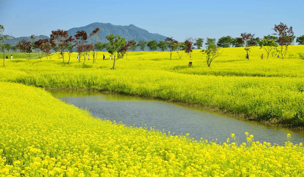 순천만 국가정원