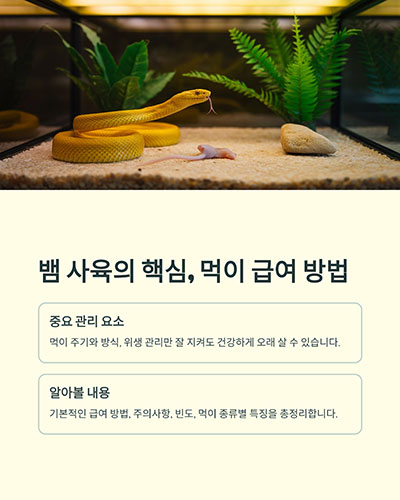 뱀 사육의 핵심, 먹이 급여 방법