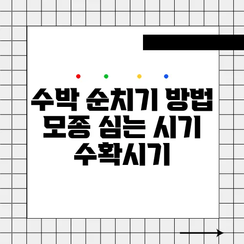 수박 순치기 방법 모종 심는 시기 수확시기