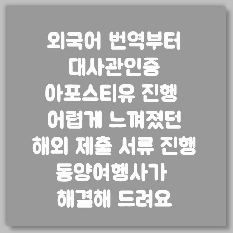 아포스티유진행