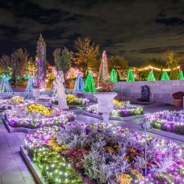 파주 퍼스트가든 빛축제