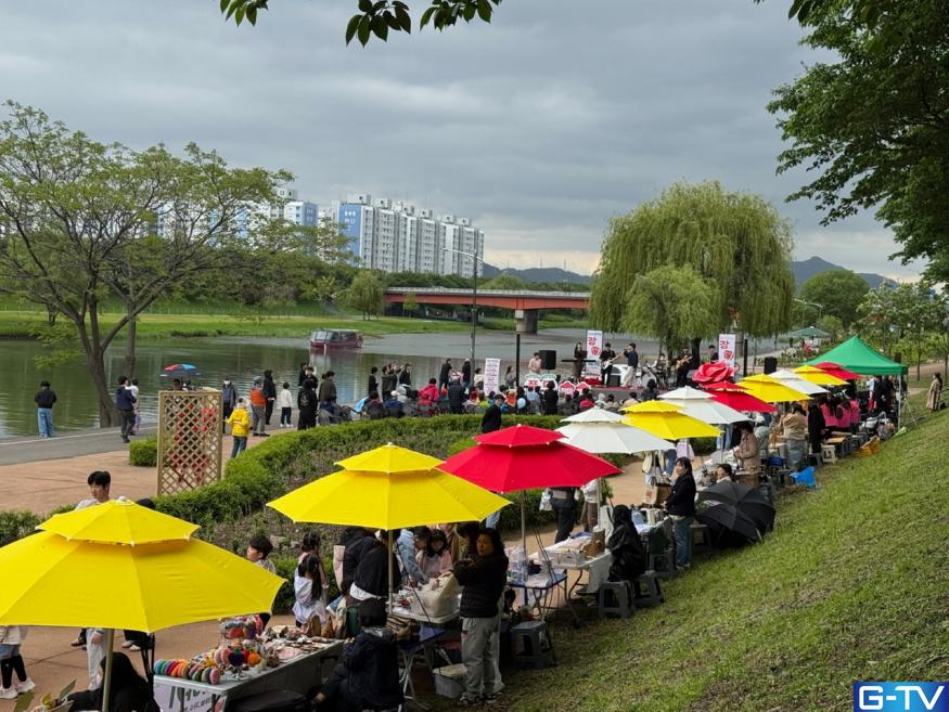 낮엔 꽃길, 밤엔 별빛! 순천 풍덕동 장미터널 로맨틱 하루
