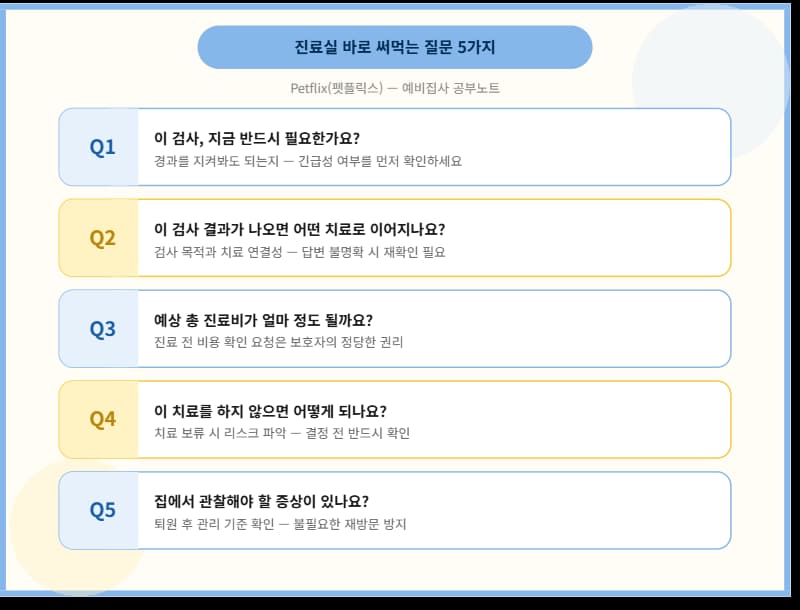 동물병원 진료실에서 수의사에게 물어볼 질문 5가지. 검사 필요성, 치료 연결성, 예상 비용, 치료 보류 리스크, 퇴원 후 관리 (Petflix 펫플릭스)