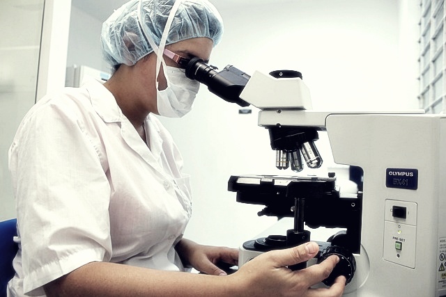 신라젠 주가분석