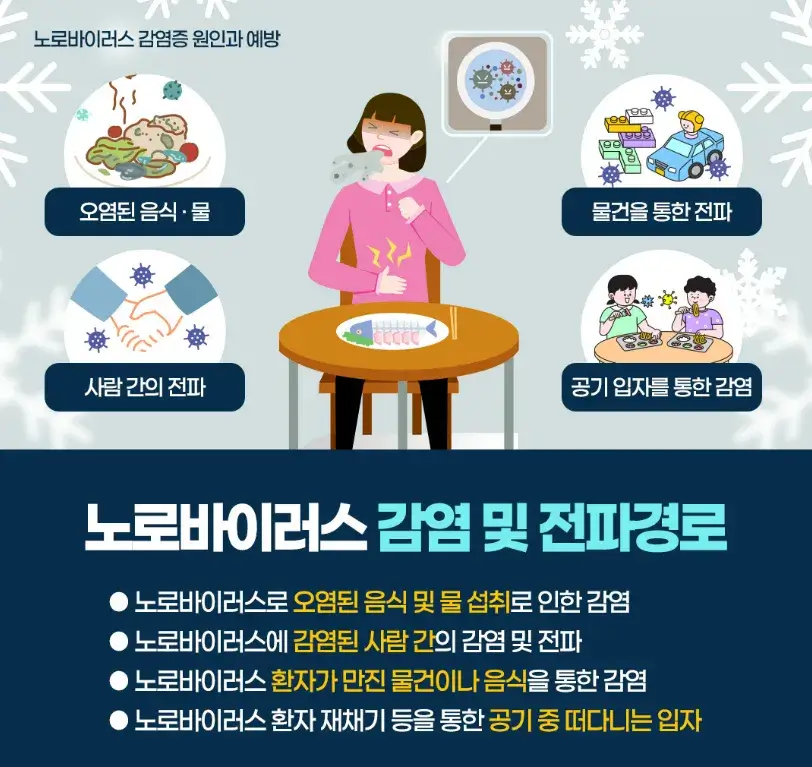 노로바이러스 전파경로