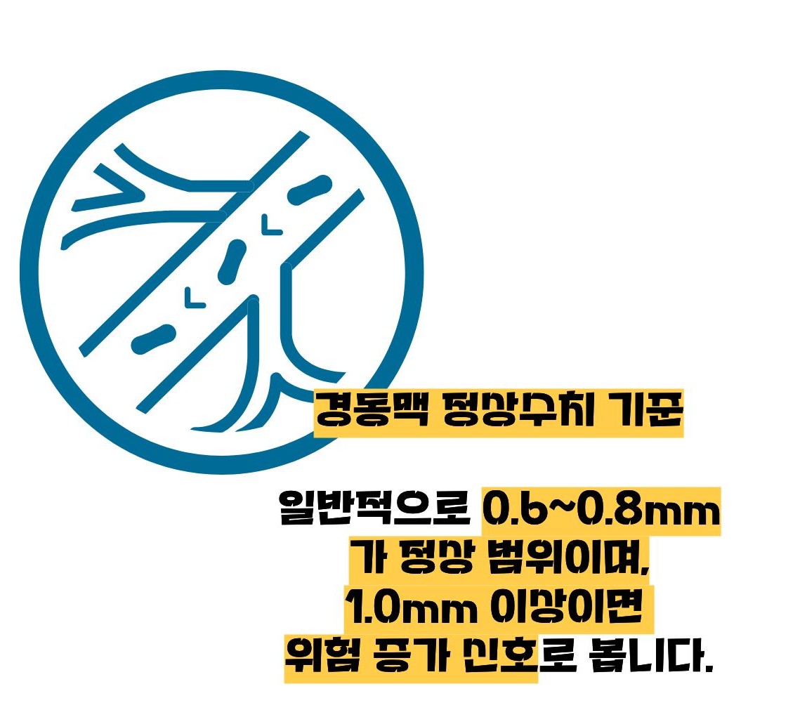 경동맥 두께 정상수치