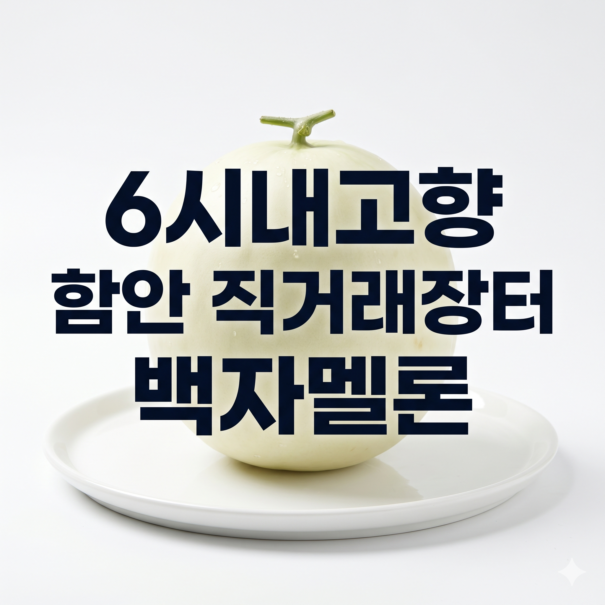 6시내고향 함안 직거래장터 백자멜론