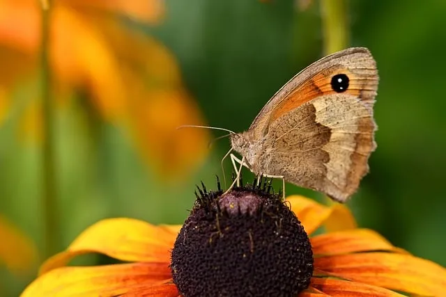 콩나물국 맛있게 끓이는 법에 대한 집밥레시피_7