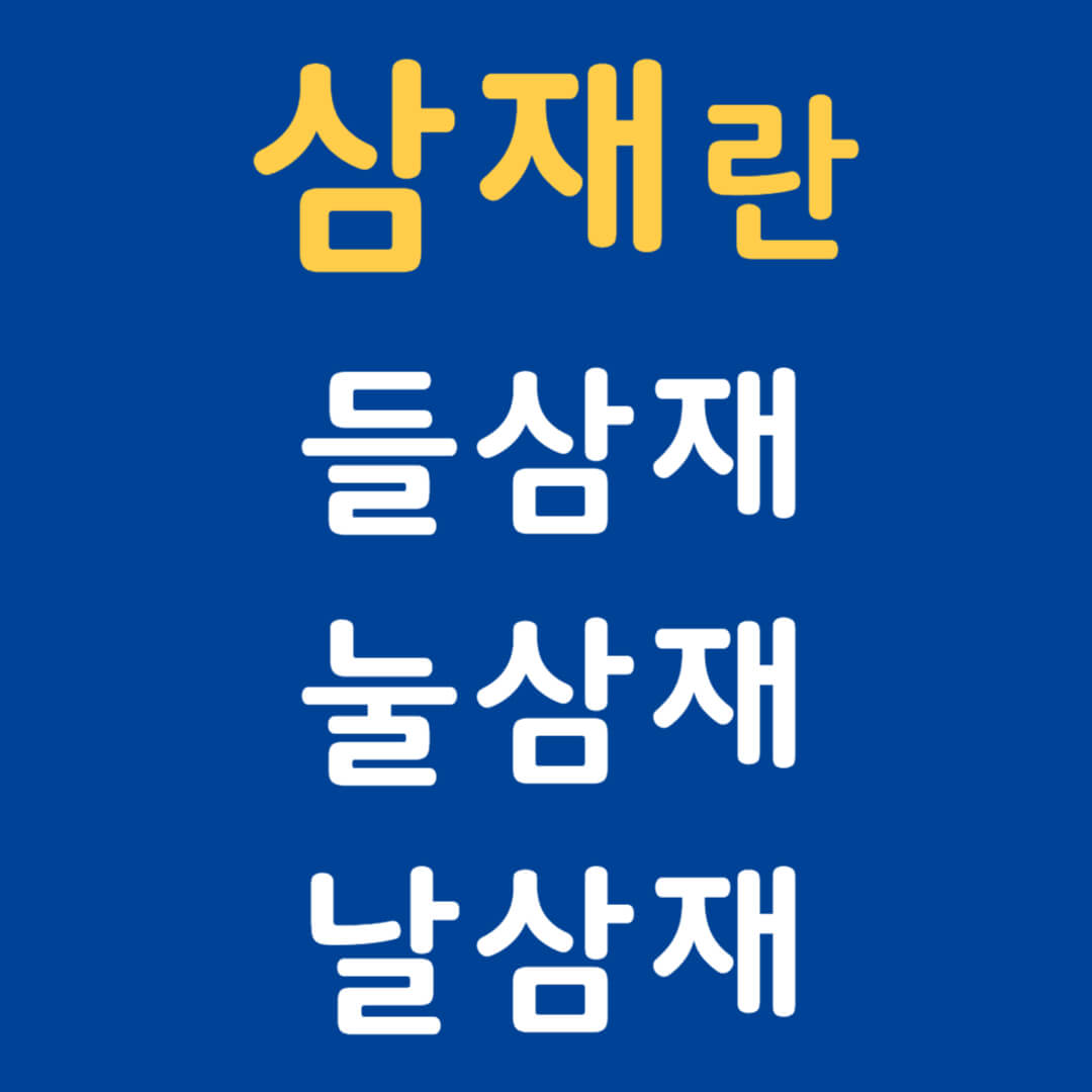 올해 2025년 삼재띠 대박띠