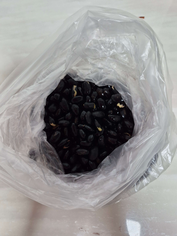 삶은 검은콩 직접찍은 사진