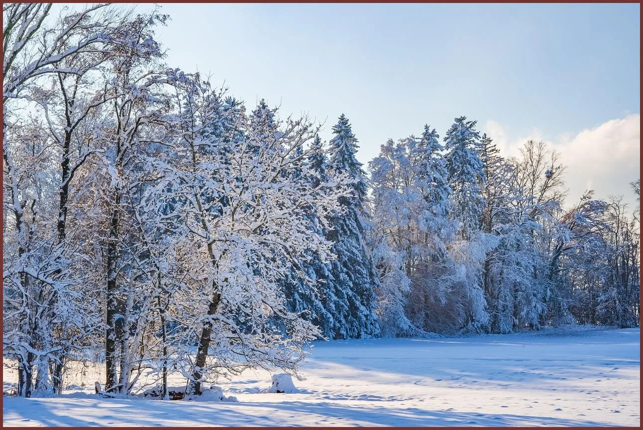 적금 금리 높은곳