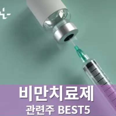 비만치료제 관련종목 관련주 BEST5
