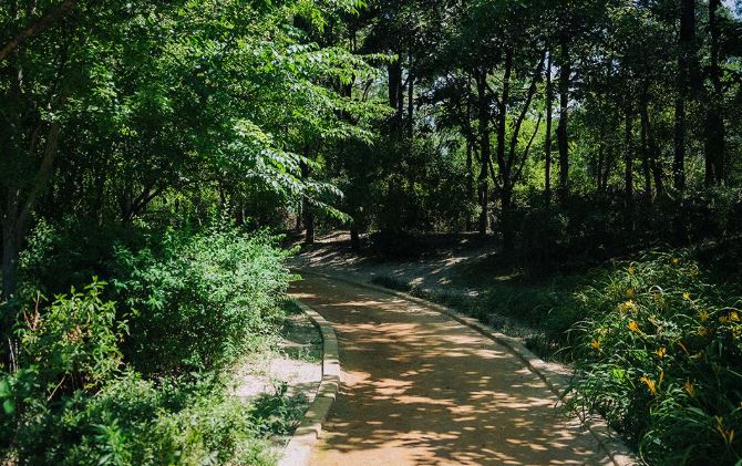 서울 창포원 가는 길 ▶▶ (주차 정보 대중교통 안내)
