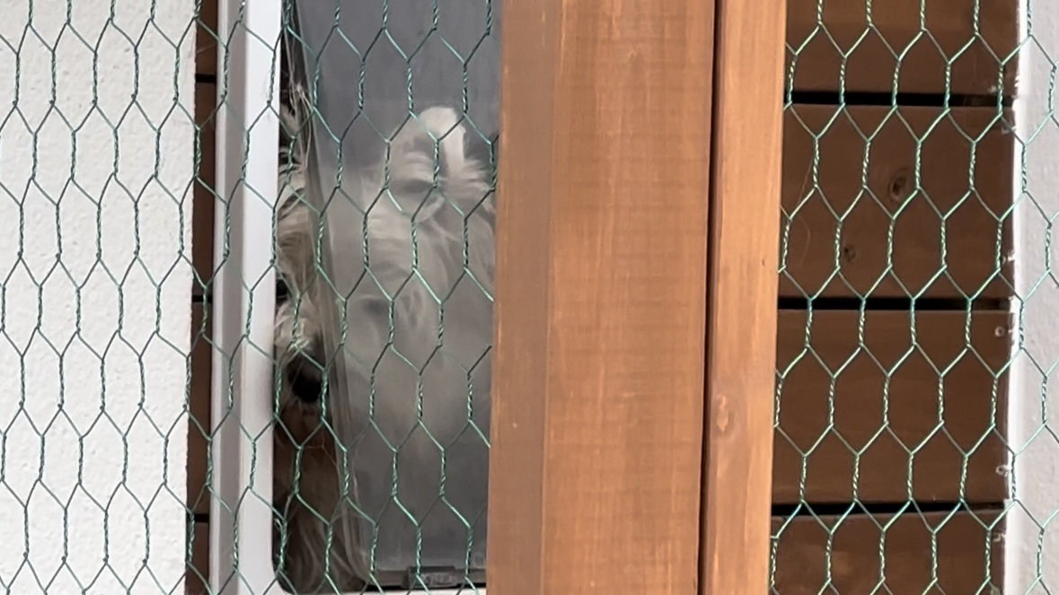 양주카페-목다향