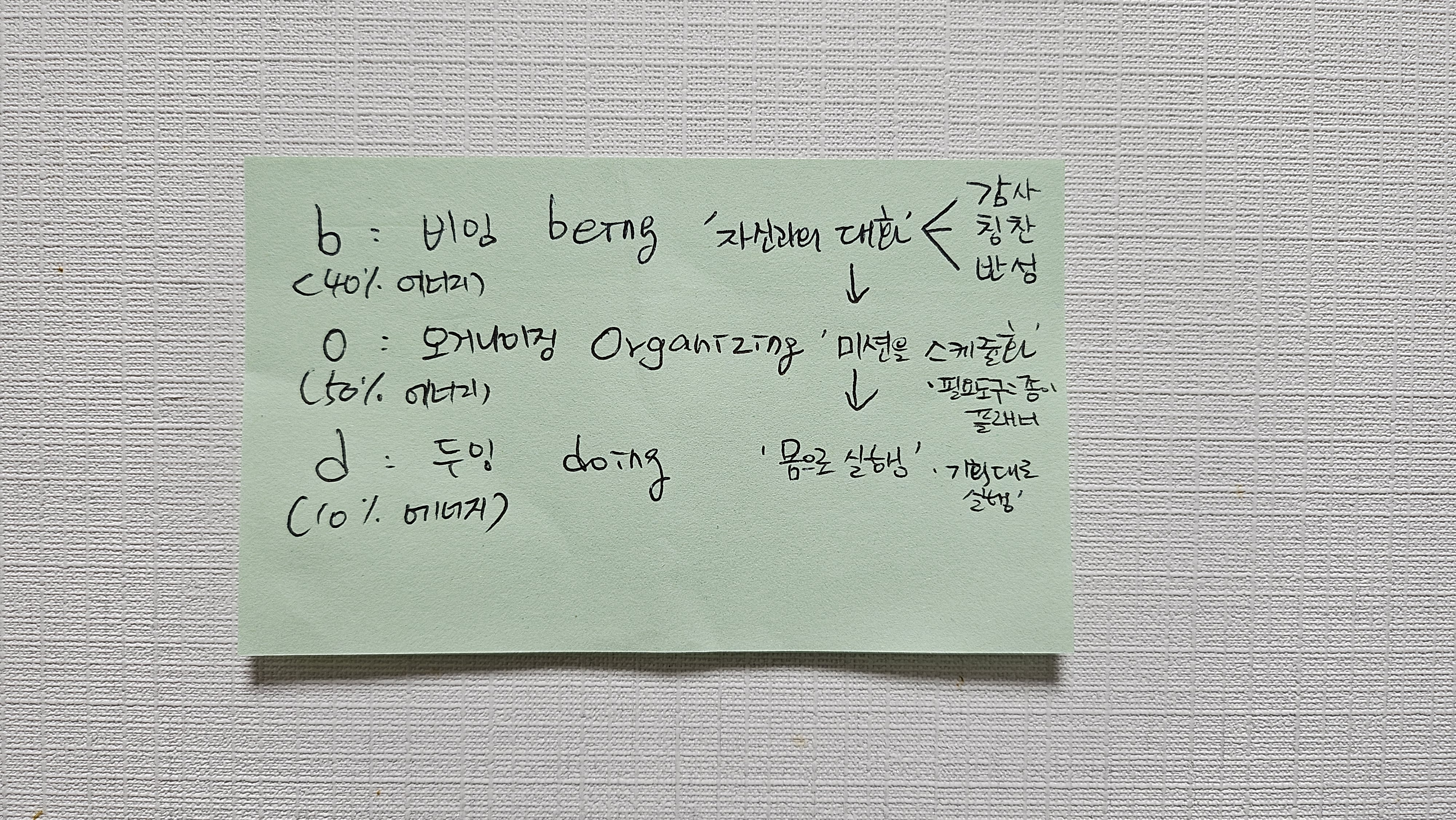 비오디루틴, bod루틴 한눈보기