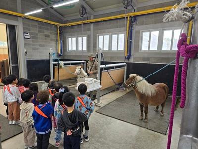 경기도 무료 어린이 말 체험 예약 꿀팁 (9~11월 조기 마감 주의)