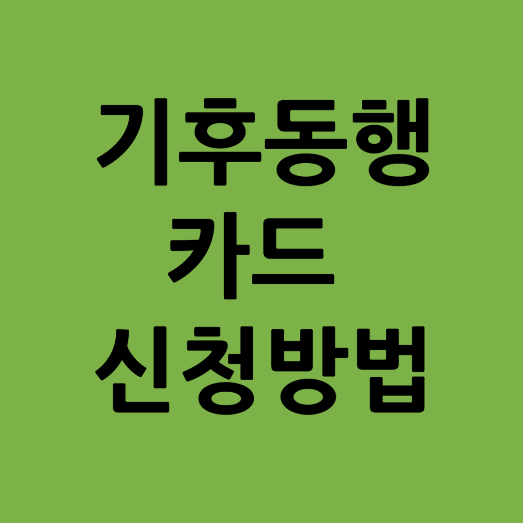 기후동행카드