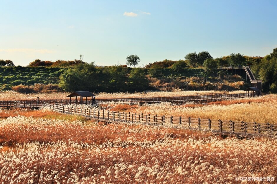 대구 가볼만한 단풍 여행은 어디일까? 대구 단풍 여행 총정리!