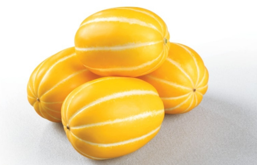 야생에서 채취를 한 노란색의 잘 익은 참외를 하얀 바닥 위에 4개를 포개어 놓아두고 찍은 사진