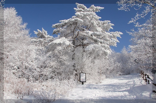 12월 여행지 추천 국내 여행지 추천 10곳