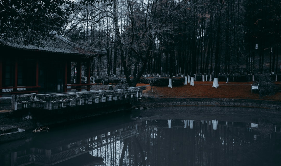 Cheongnyangni