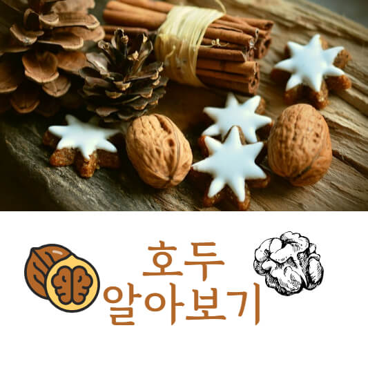 호두