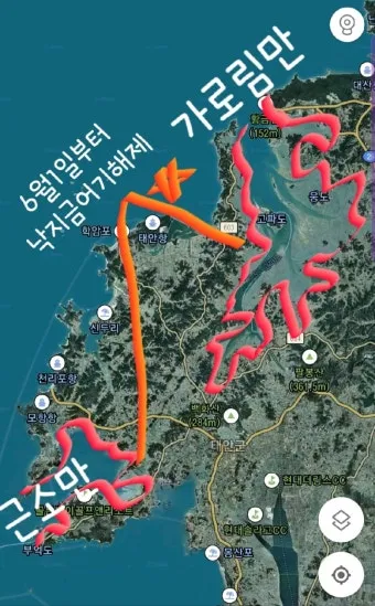 6월 낙지 금어기 정확한 시작일과 끝나는 날 지역별 상세 기준 정리_2