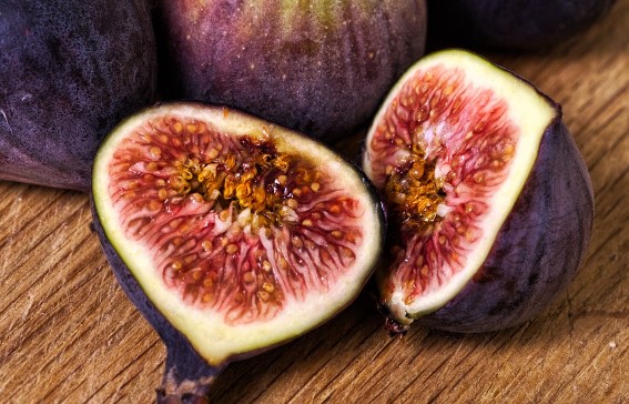 무화과의 효능