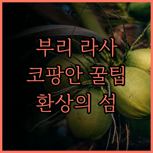 부리 라사 코팡안 완벽 후기! 아름다